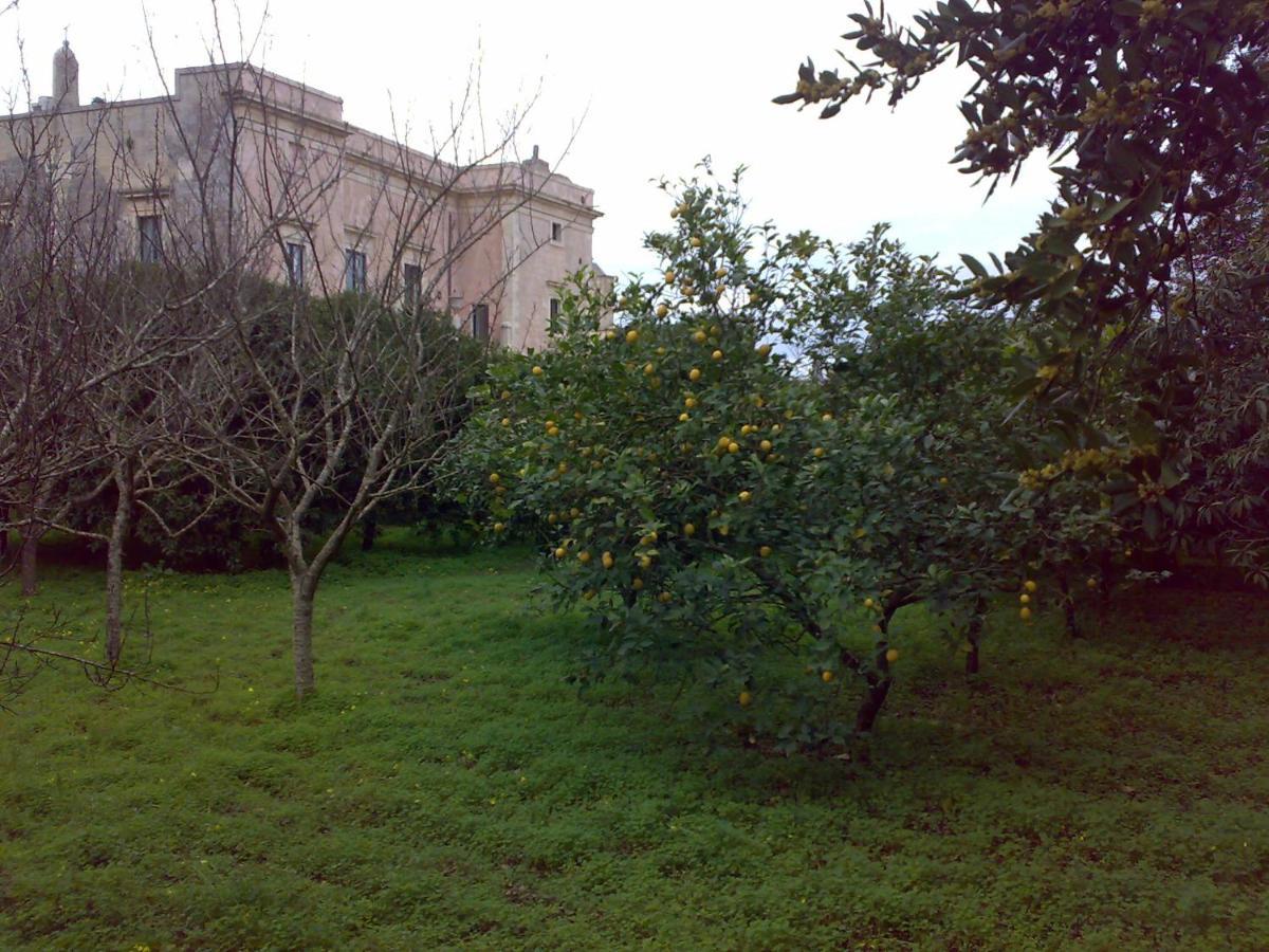 Specchia GalloneAricelle Speziali住宿加早餐旅馆 外观 照片