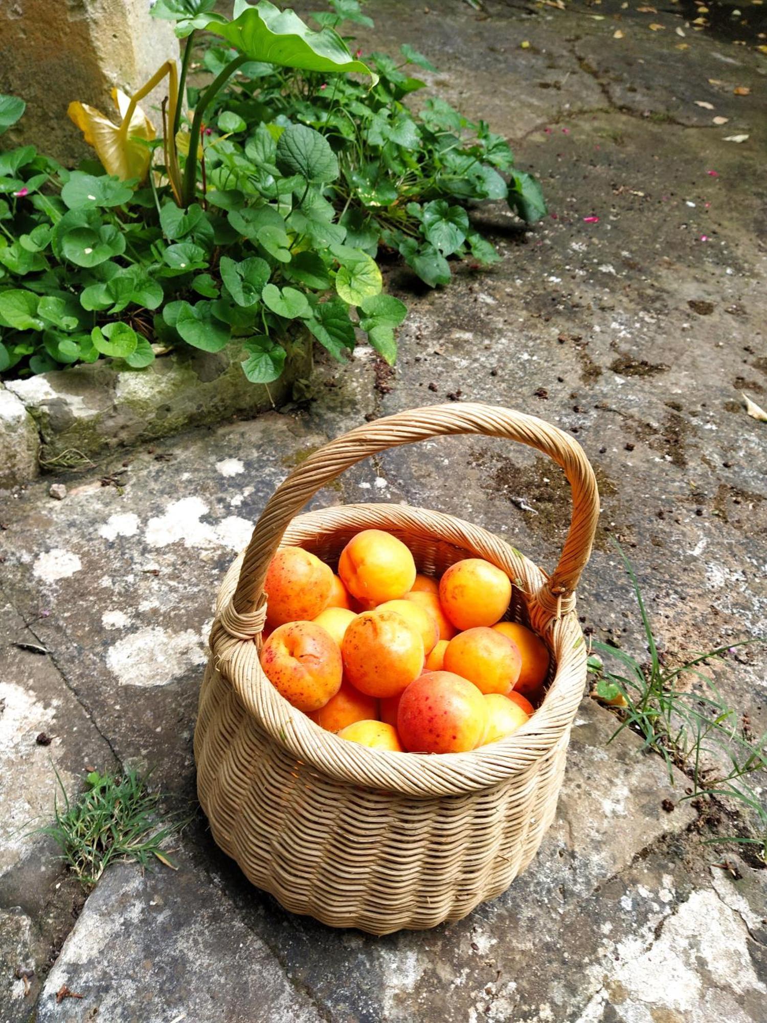 Specchia GalloneAricelle Speziali住宿加早餐旅馆 外观 照片
